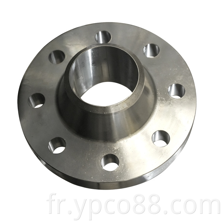 Stainless Steel Flange